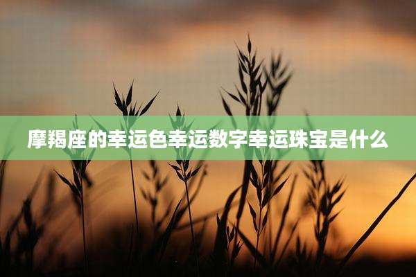 摩羯座的幸运色幸运数字幸运珠宝是什么