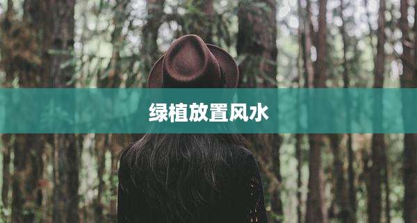 绿植放置风水