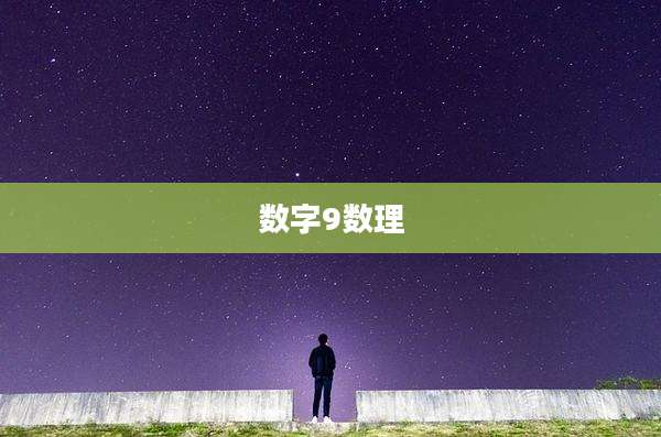 数字9数理