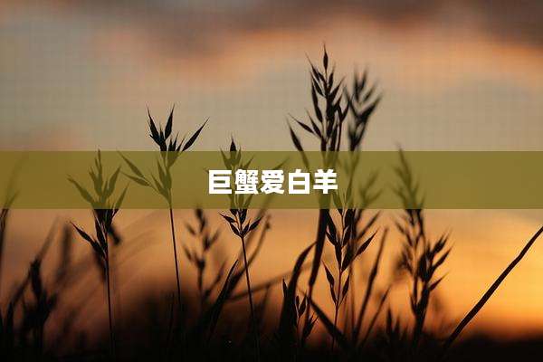巨蟹爱白羊