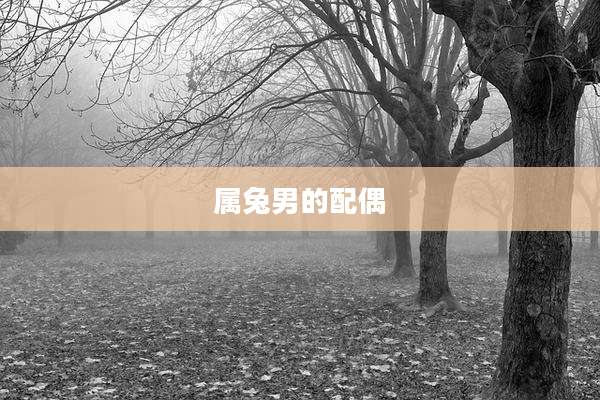 属兔男的配偶