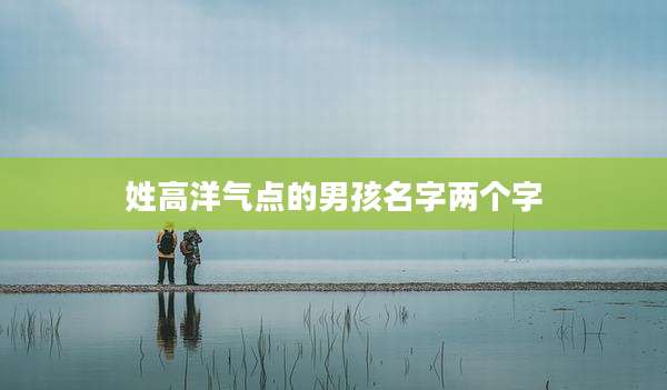姓高洋气点的男孩名字两个字
