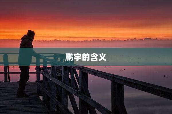 鹏宇的含义