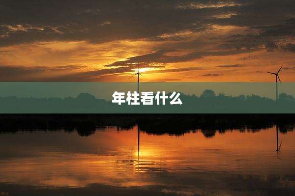 年柱看什么