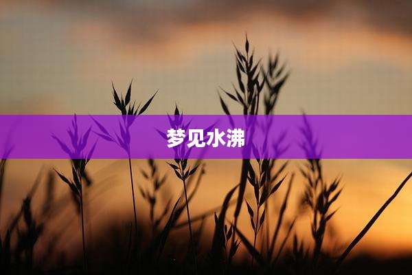 梦见水沸