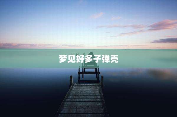 梦见好多子弹壳