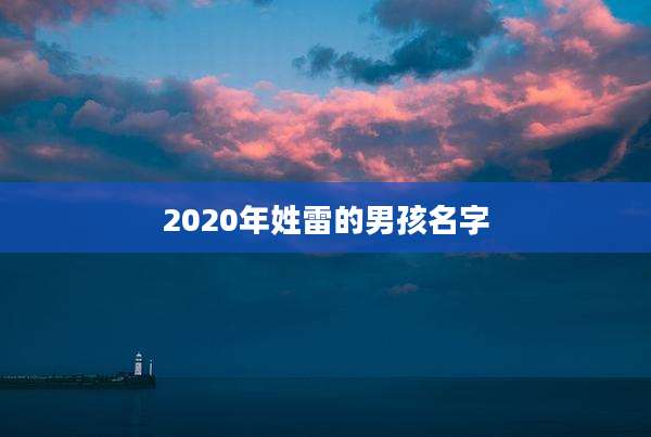 2020年姓雷的男孩名字