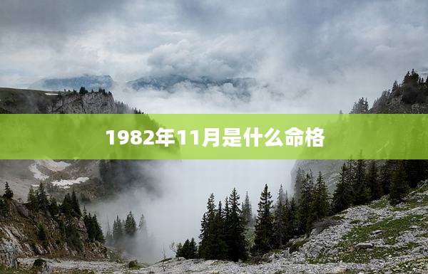 1982年11月是什么命格