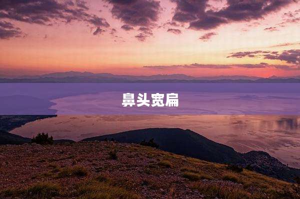 鼻头宽扁