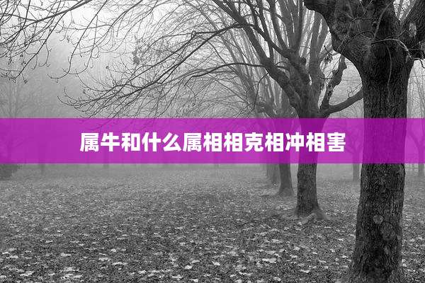 属牛和什么属相相克相冲相害