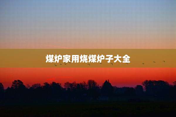 煤炉家用烧煤炉子大全