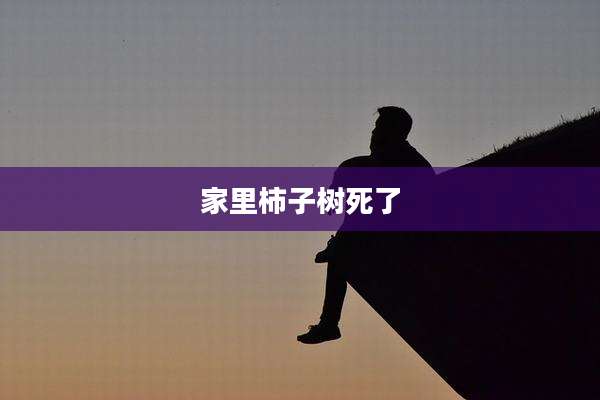 家里柿子树死了