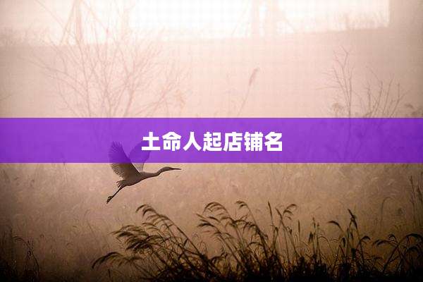 土命人起店铺名