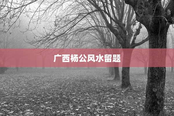 广西杨公风水留题