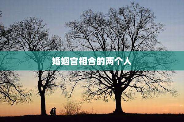 婚姻宫相合的两个人