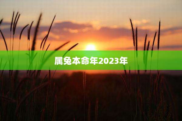 属兔本命年2023年