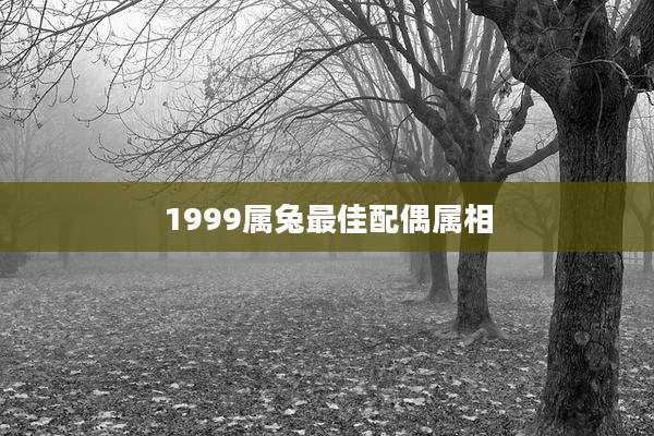 1999属兔最佳配偶属相