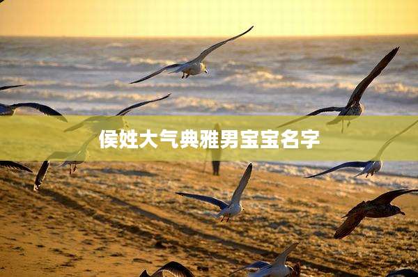 侯姓大气典雅男宝宝名字
