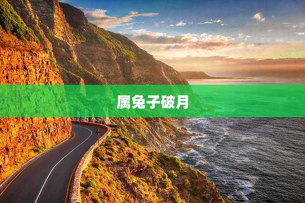 属兔子破月