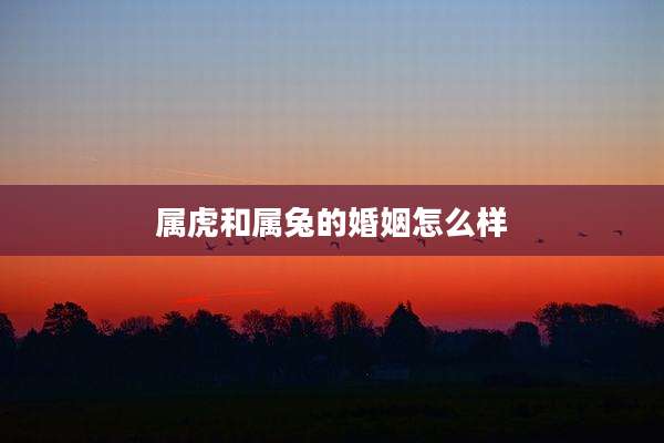 属虎和属兔的婚姻怎么样