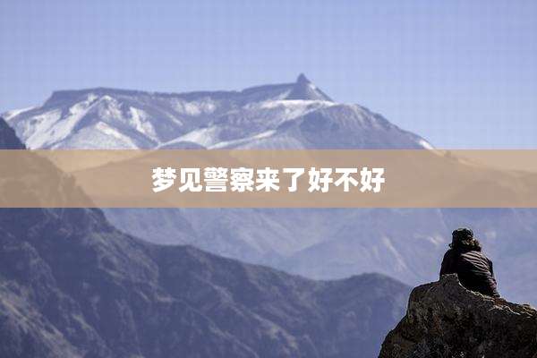 梦见警察来了好不好