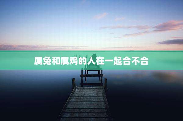 属兔和属鸡的人在一起合不合