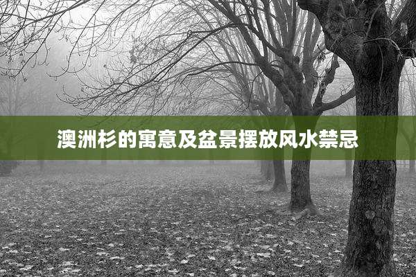 澳洲杉的寓意及盆景摆放风水禁忌