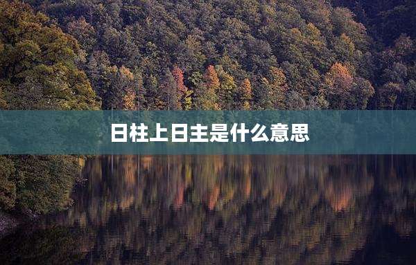 日柱上日主是什么意思