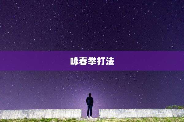 咏春拳打法