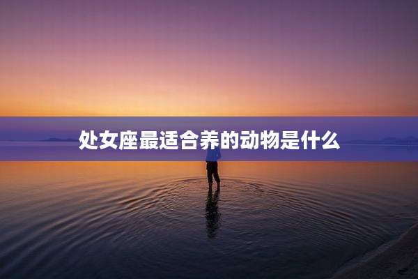 处女座最适合养的动物是什么