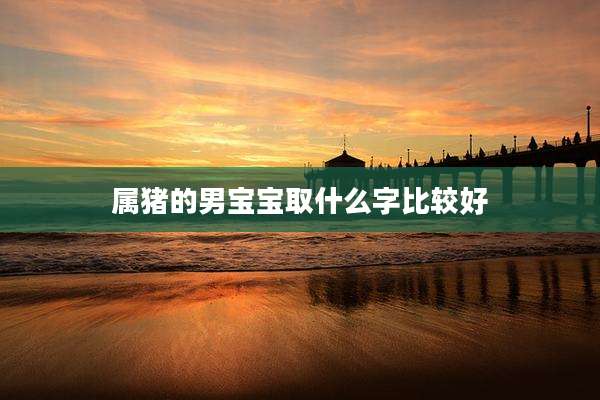 属猪的男宝宝取什么字比较好