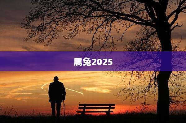 属兔2025