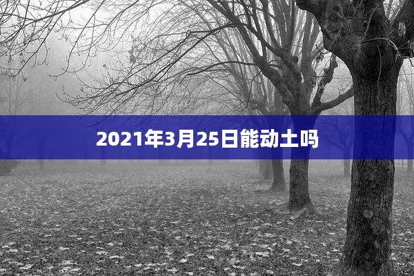 2021年3月25日能动土吗