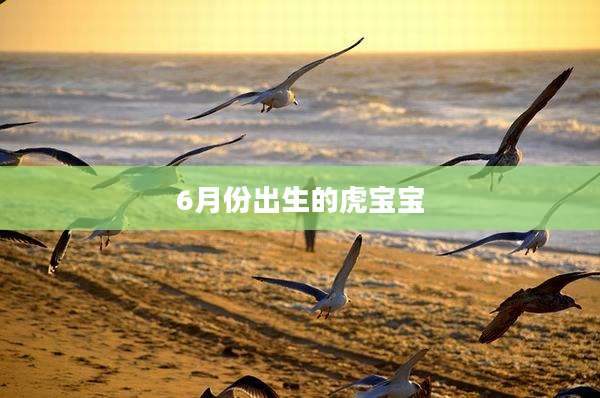 6月份出生的虎宝宝