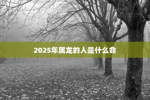 2025年属龙的人是什么命