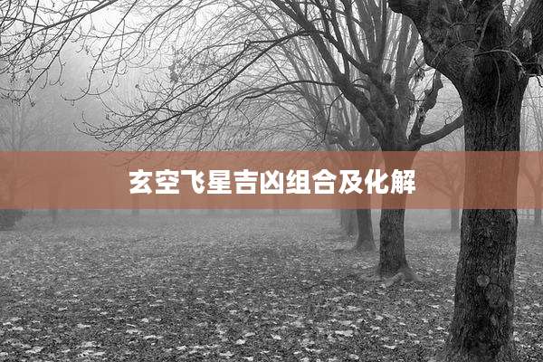 玄空飞星吉凶组合及化解