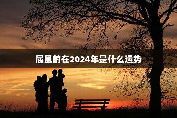 属鼠的在2024年是什么运势