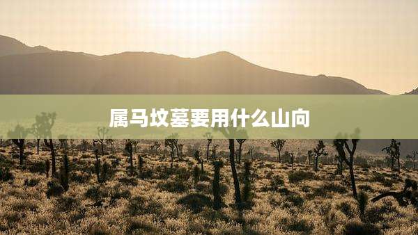 属马坟墓要用什么山向