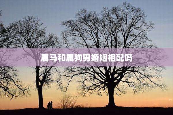 属马和属狗男婚姻相配吗