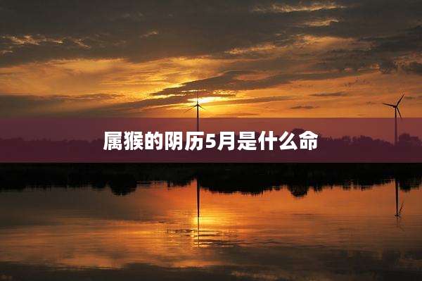 属猴的阴历5月是什么命