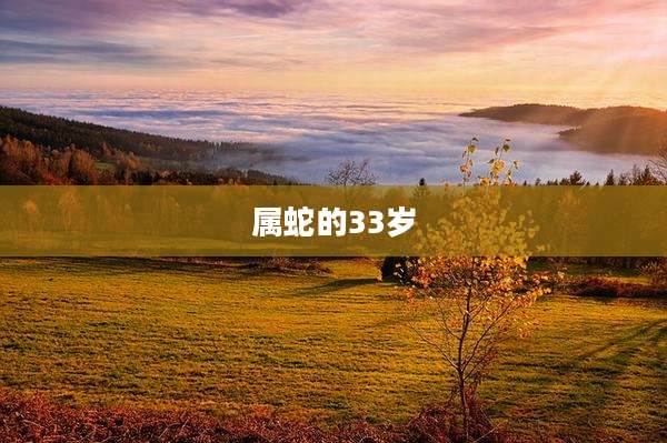 属蛇的33岁