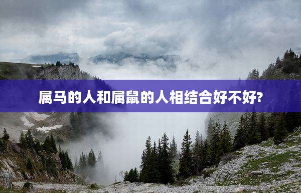 属马的人和属鼠的人相结合好不好?