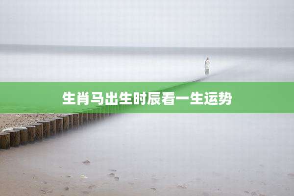 生肖马出生时辰看一生运势