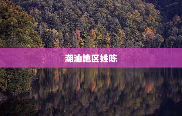 潮汕地区姓陈