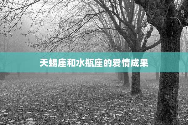 天蝎座和水瓶座的爱情成果
