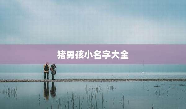 猪男孩小名字大全