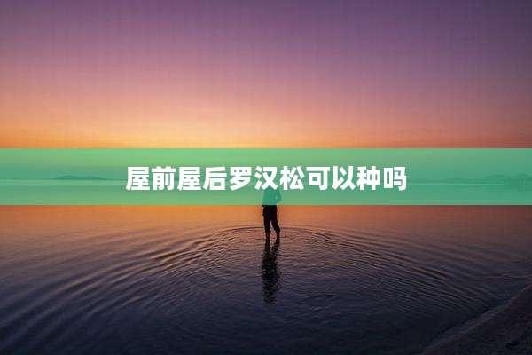 屋前屋后罗汉松可以种吗