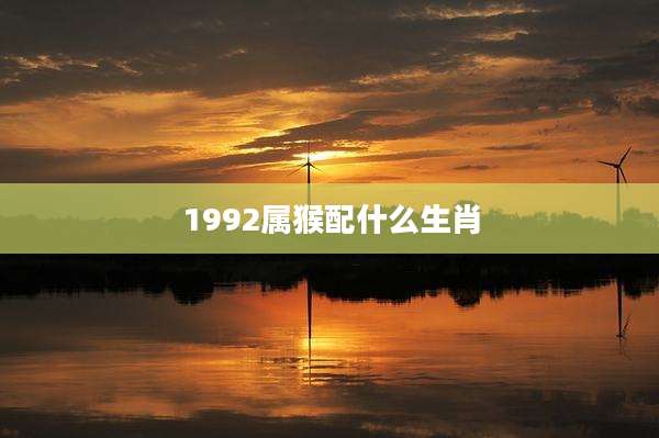 1992属猴配什么生肖