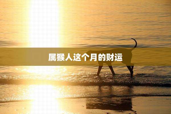 属猴人这个月的财运