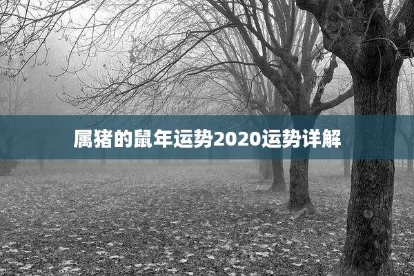 属猪的鼠年运势2020运势详解